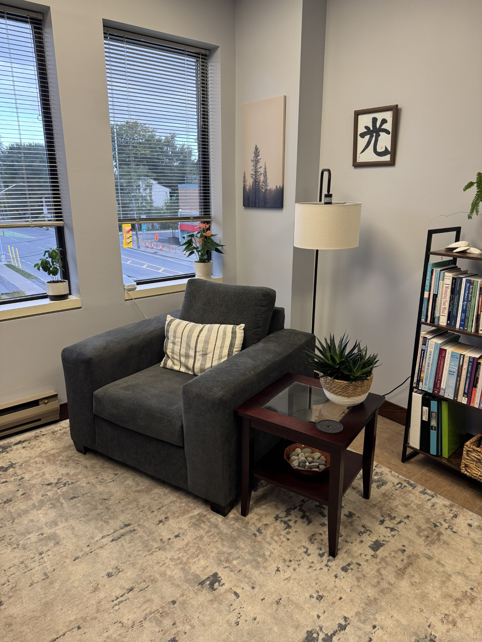 Bright therapy room with an armchair, plants, and books