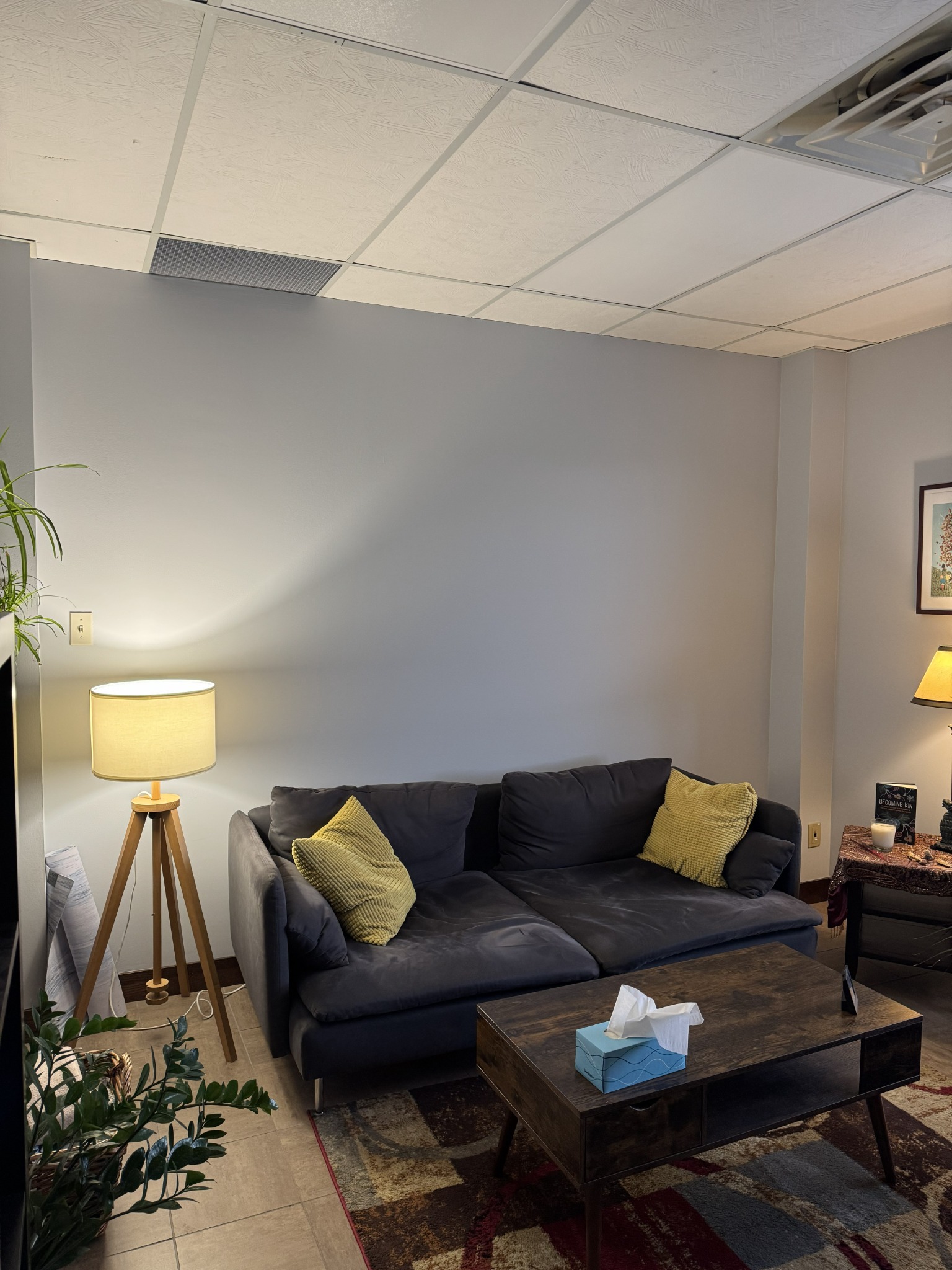 Warm therapy room with a sofa, soft lamps, and plants
