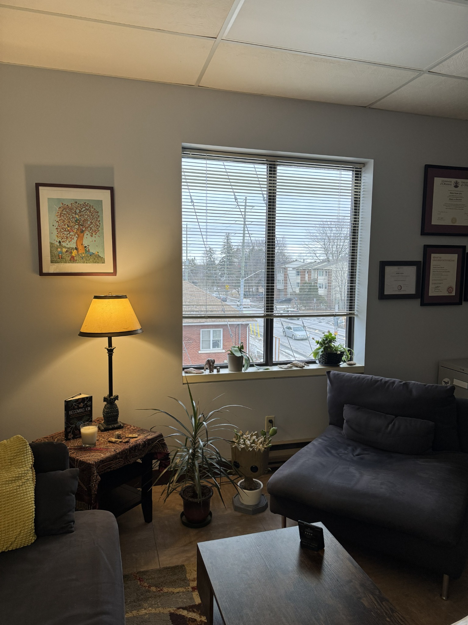 Warm therapy room with comfortable seating, plants, and natural light